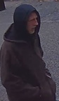 Possible Car Theif